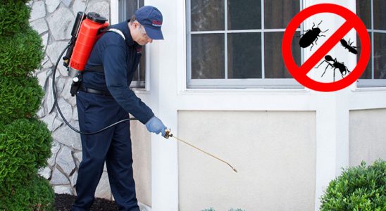 Ağlasun Kemirgen İlaçlama böcek ilaçlama ve haşere kontrolü — ilaclama-tr.com